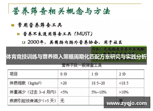 体育竞技训练与营养摄入策略周期化匹配方案研究与实践分析
